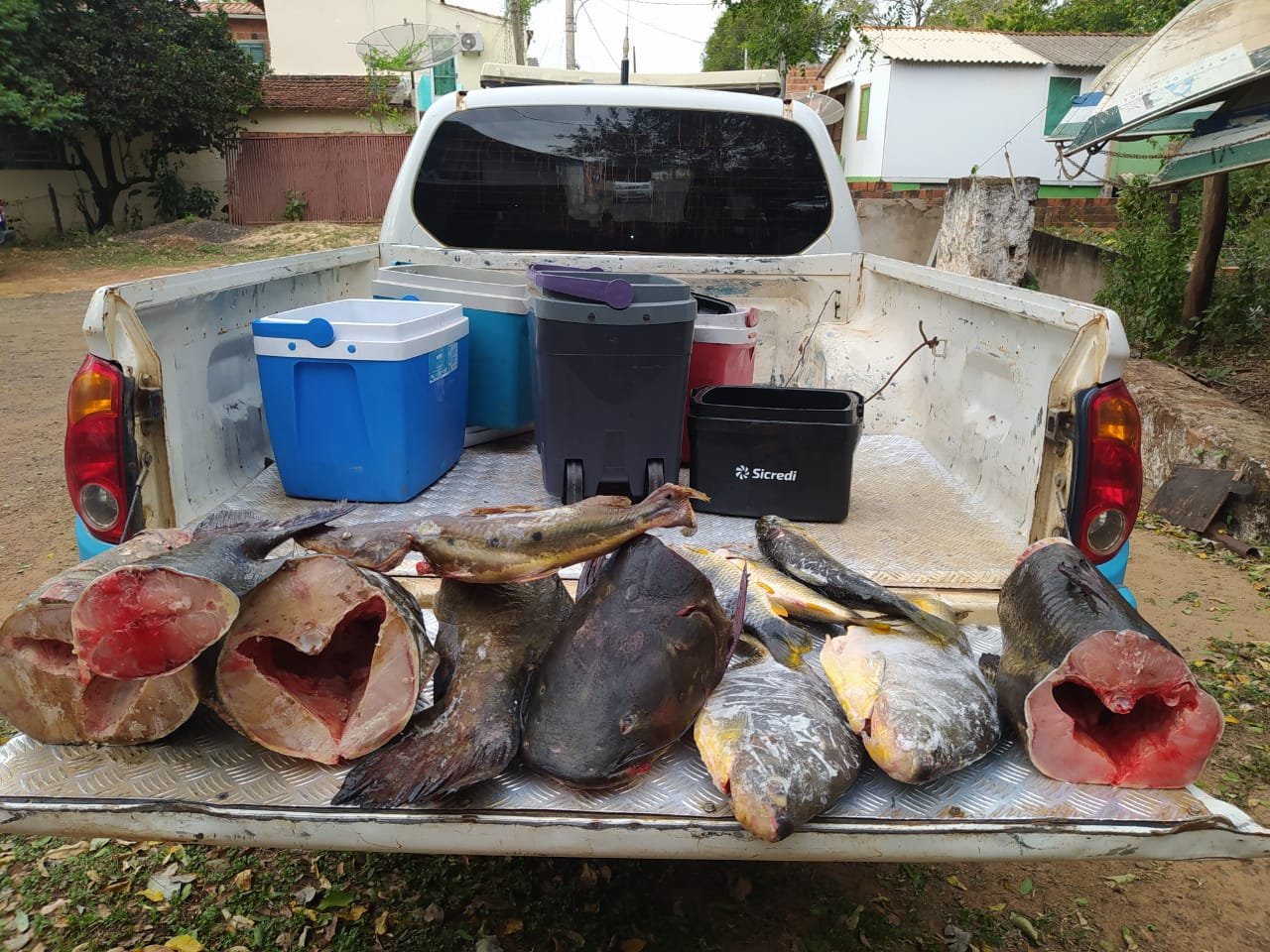 PMA de Águas do Miranda prende e autua paranaense em R$ 1,6 mil por capturar pescado