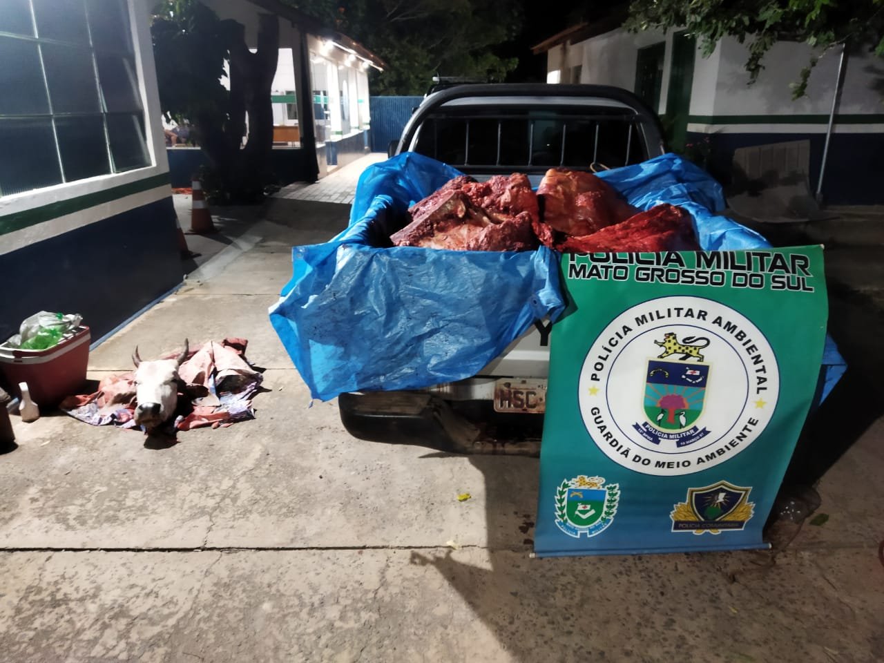 PMA de Coxim prende cinco por furto e receptação de gado e apreende veículo e gado abatido
