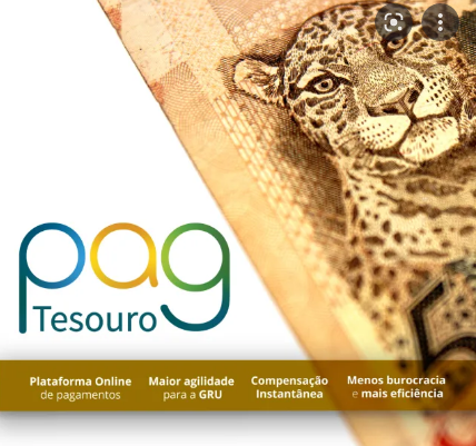 PagTesouro possibilita pagamento de serviços públicos via Pix e cartão de crédito