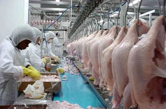 Brasil lidera ranking mundial de exportação de carne de frango