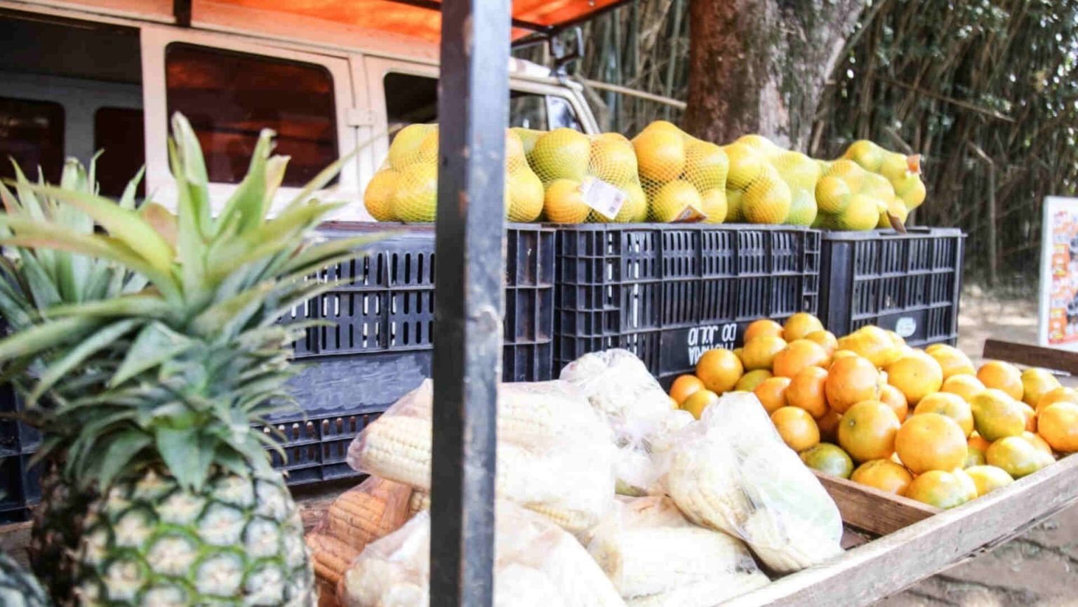 ‘Não existe mais dia 20’: comerciantes amargam queda nas vendas logo depois do 5° dia útil
