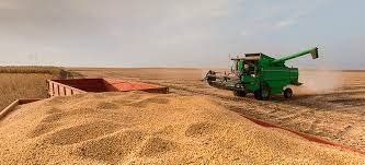 Brasil deve colher a maior safra agrícola ainda este ano