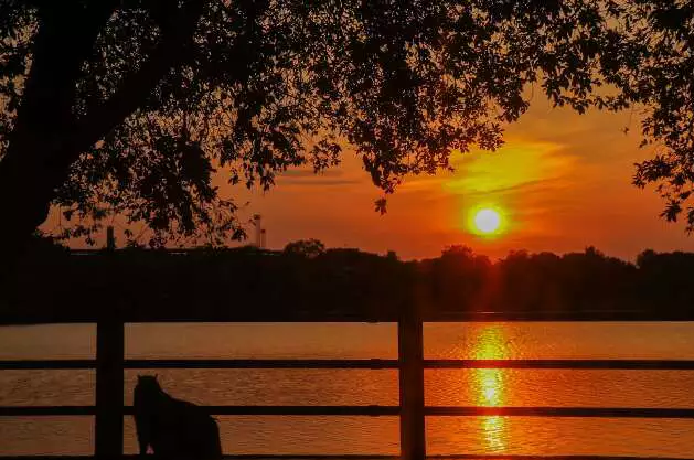 Sol aparece, mas pode chover em áreas isoladas nesta sexta em MS