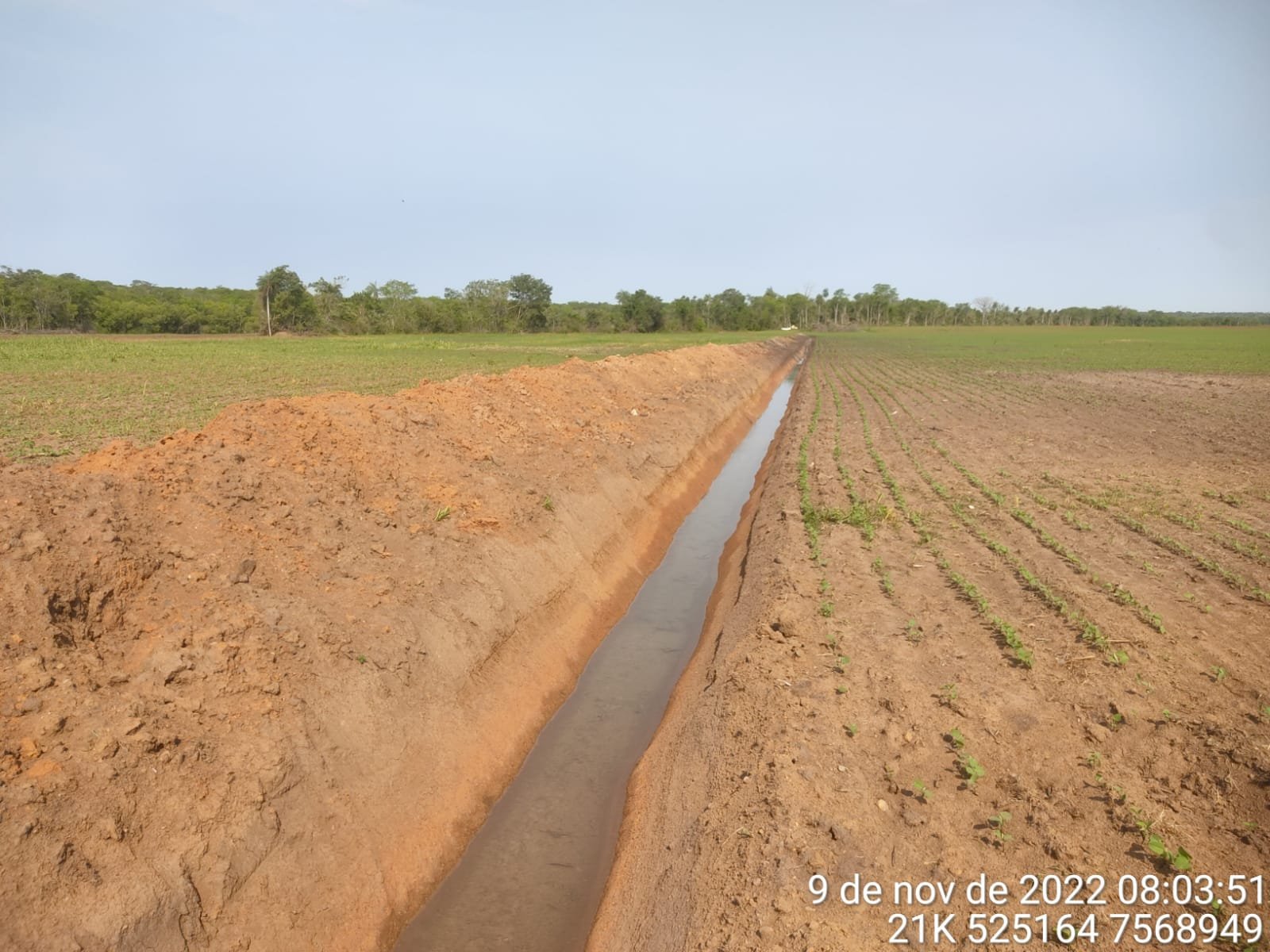 PMA de Bela Vista autua infrator em R$ 15 mil por escavar 500 metros de dreno para atividade agrícola degradando várzeas