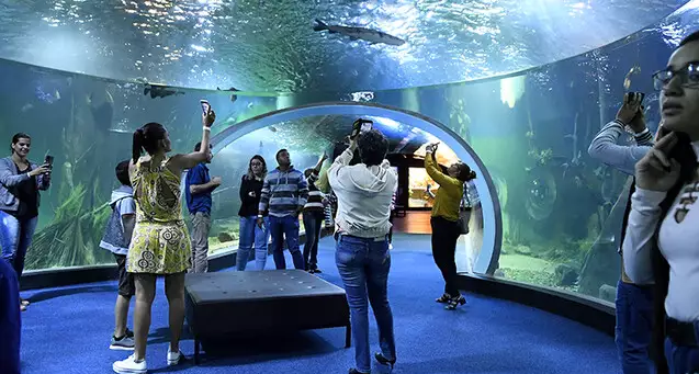 Com distribuição de 1,2 mil senhas, Bioparque funciona normalmente neste feriado