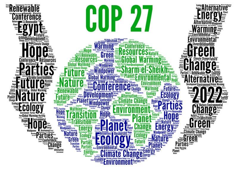 SECOM – Informativa COP 27