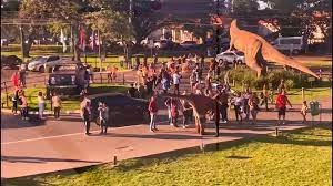 Conheça o Mundo Mágico da Terra das Cataratas!