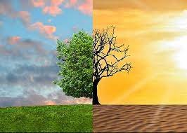 MUDANÇA CLIMÁTICA: RELEVÂNCIA DOS ÓRGÃOS DE CONTROLE
