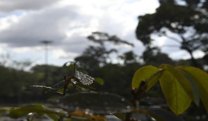 Véspera de Natal terá manhã de tempo firme e tarde com pancadas de chuva