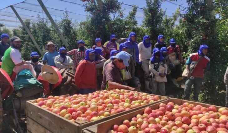 Semana começa com 4 mil vagas de trabalho em Mato Grosso do Sul