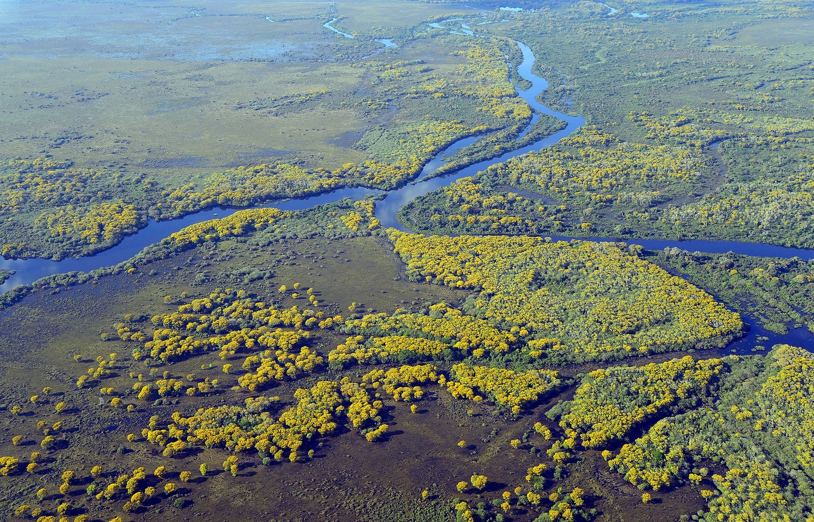 BTG Pactual lança 2ª edição do BTG Soma para capacitar organizações de proteção ambiental
