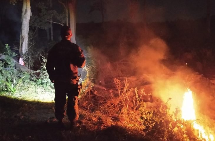 Ações preventivas reduzem grandes queimadas e outros crimes ambientais em MS