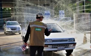 Vigilância contra influenza aviária garante produção segura para Mato Grosso do Sul