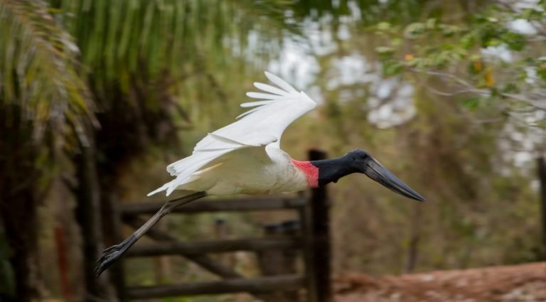 Turismo de Mato Grosso do Sul capacita agentes de viagens na Convenção Anual Schultz