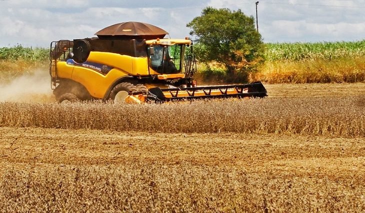 Produção agrícola de MS deve aumentar 10% em um ano e superar 70 milhões de toneladas