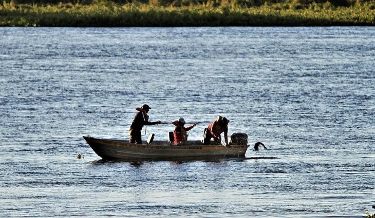 Aberta temporada de pesca, Imasul esclarece regras vigentes em MS e ensina como emitir a Carteira Digital