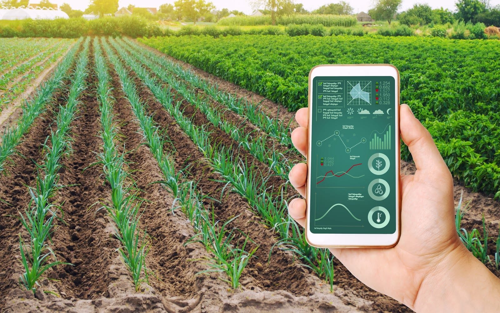 Aplicação de tecnologias traz benefícios para o agronegócio do Mato Grosso do Sul