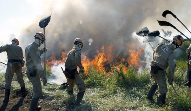 Workshop on-line sobre “Prevenção e Combate a Incêndios Florestais” com embaixada dos EUA