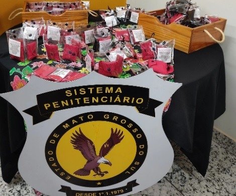 Produção de bioabsorventes em presídio de MS é alternativa sustentável para levar dignidade a mulheres