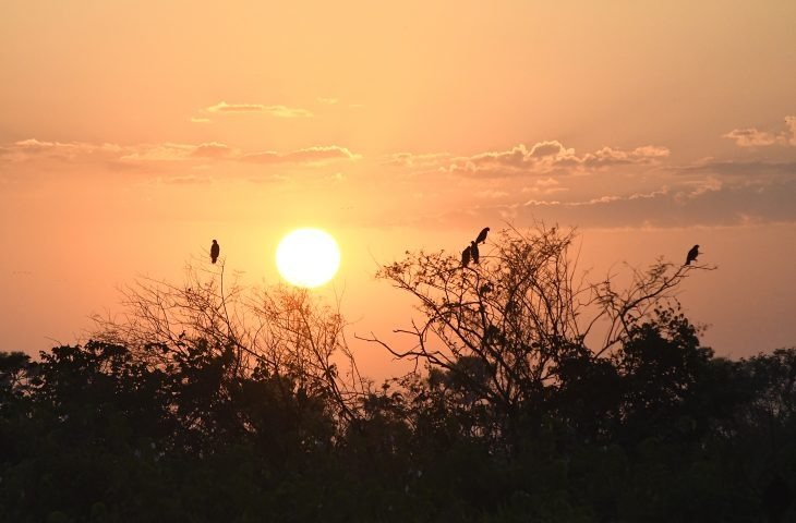 Domingo tem previsão de 43°C e calor não dá trégua em MS