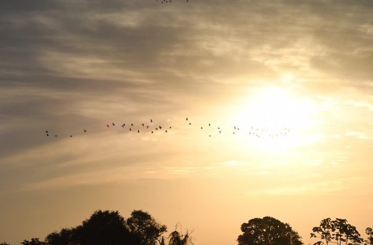 Sexta-feira tem previsão de sol e tempo estável em Mato Grosso do Sul