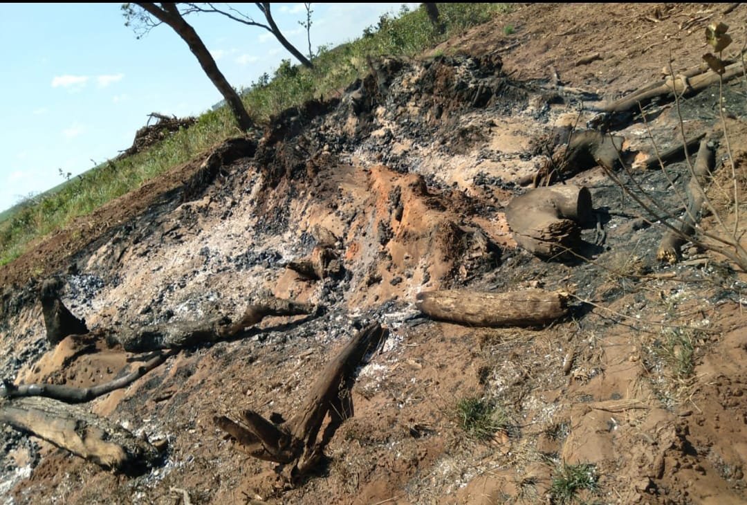 PMA de Costa Rica autua proprietário rural em R$ 19.000 por uso de fogo sem autorização ambiental
