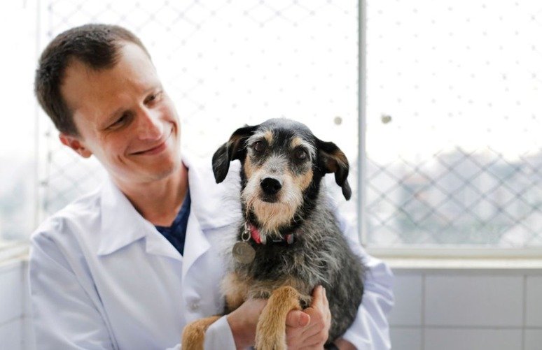 Morre Estopinha, primeira pet influencer do Brasil