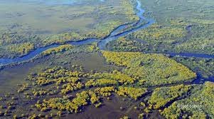 Desenvolvimento Sustentável no Pantanal: Desafios e Perspectivas