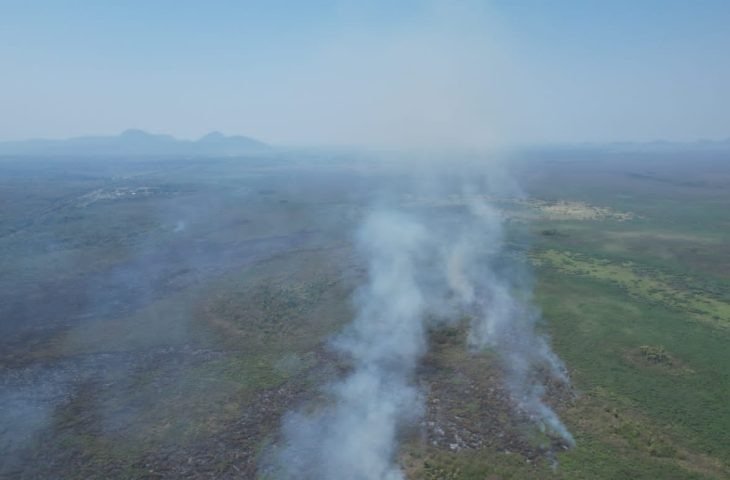 Apoiado pelo Fundect, projeto em MS busca alternativa para evitar incêndios no Pantanal