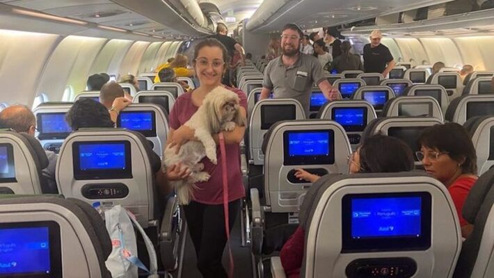 Guerra – 2º avião da FAB traz brasileiros e bichinhos de estimação