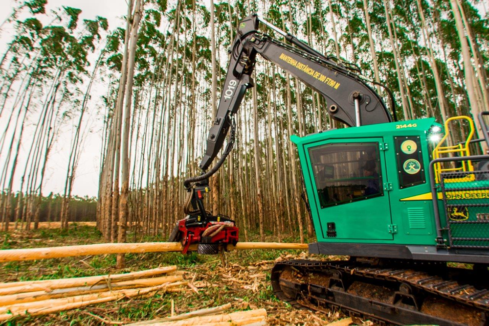 MS Florestal abre vaga para instrutor de operações florestais