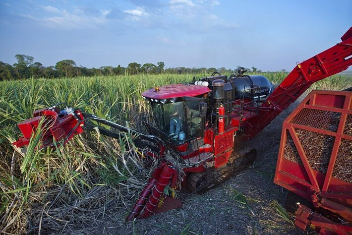 Cana: Mato Grosso do Sul alcança 46,3 milhões de toneladas