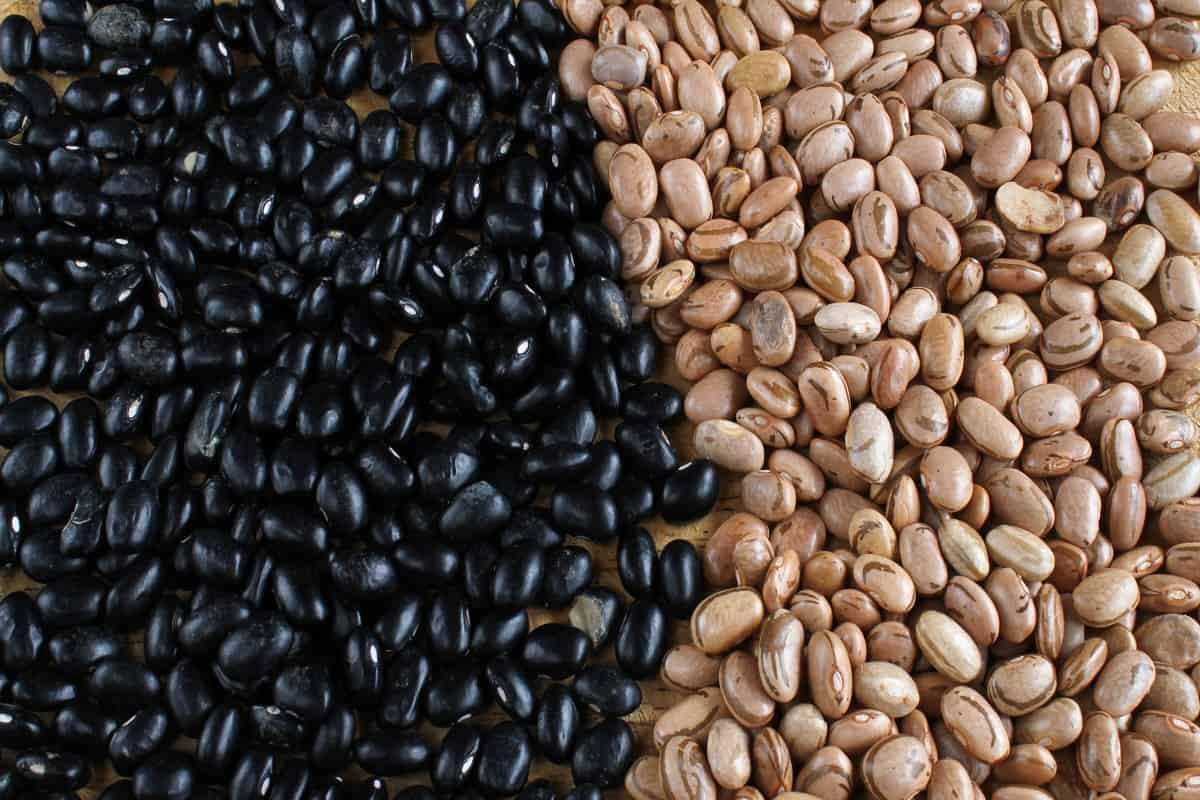 A pergunta que todos os portais de notícia têm feito é: “E o preço do Feijão, como fica?”