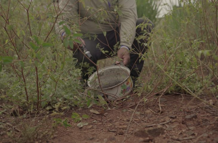 Alerta – Ações de combate a dengue nos 79 municípios