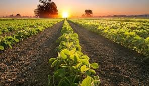 Curso capacitará jornalistas no agronegócio