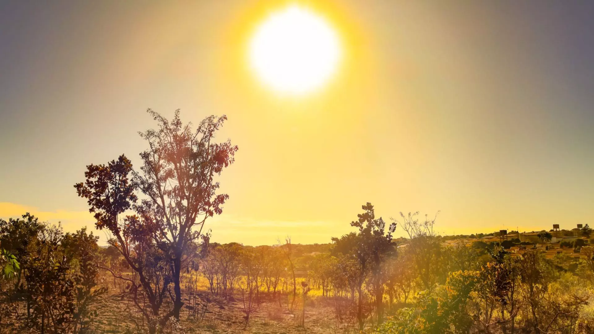 Máxima chega a 35°C aliada a baixa umidade em Mato Grosso do Sul nesta quinta-feira