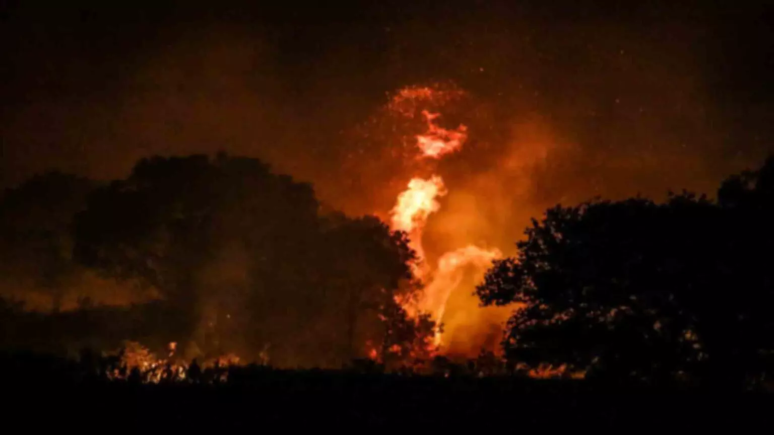 Chuvas podem ajudar, mas seca severa de 2024 vai deixar impactos no Pantanal