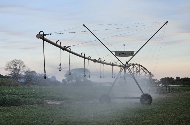 FCO aprova R$ 219 milhões para novos empreendimentos em MS; irrigação e citricultura são destaques