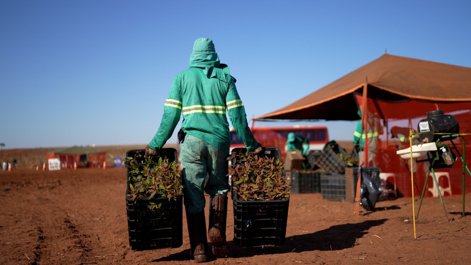 MS Florestal abre vagas para operação no campo e oportunidades para todos os níveis de experiência