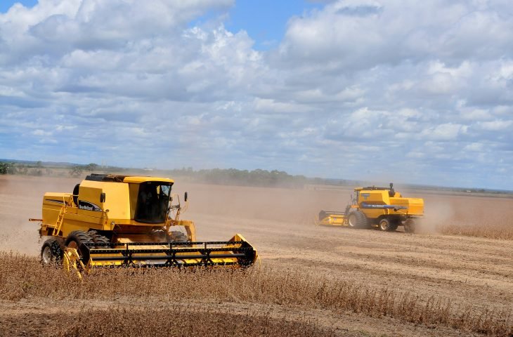 Produção agrícola de Mato Grosso do Sul deve chegar a 75,3 milhões de toneladas na safra 2024/25