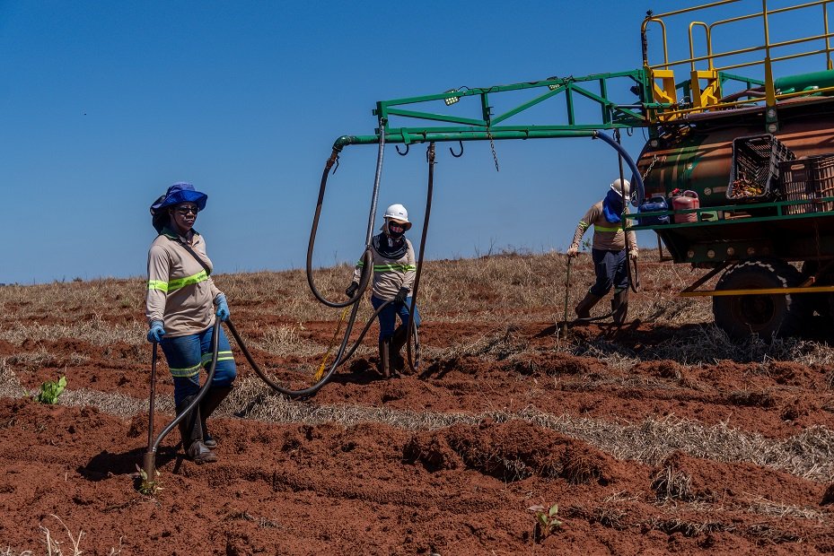 MS Florestal abre 125 vagas de emprego em Bataguassu