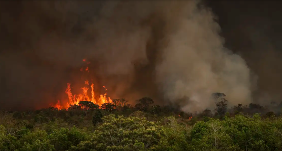 Câmara aprova aumento de punição a quem provocar incêndios florestais