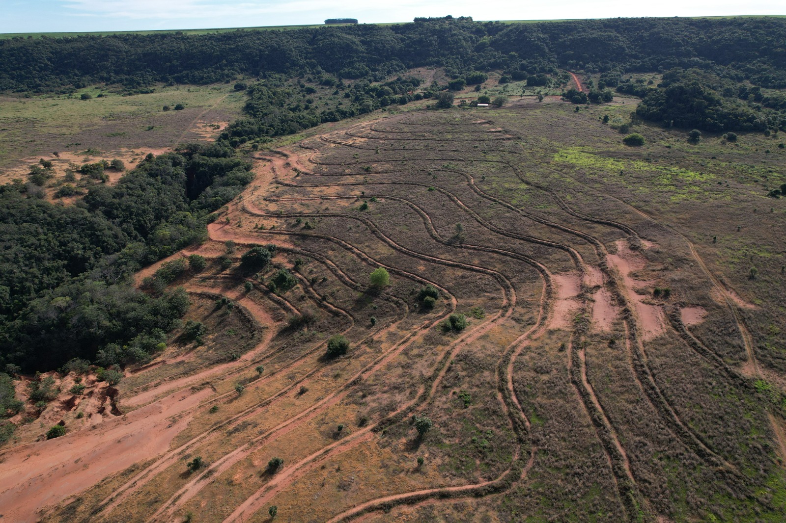 Mutirão dará início ao plantio de 40 hectares no Parque Estadual Nascentes do Rio Taquari