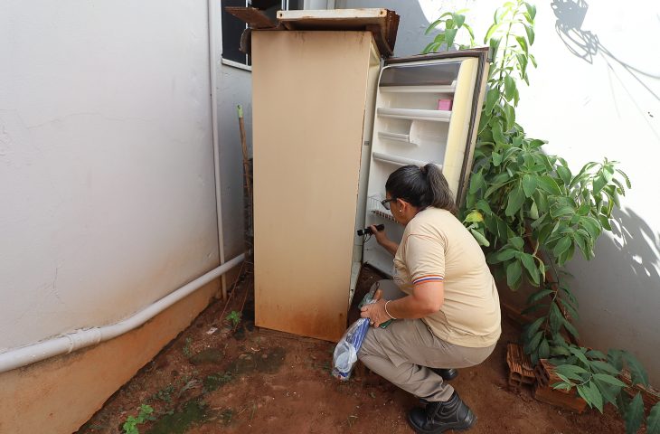 Boletim Epidemiológico: MS registra 8.299 casos confirmados de dengue