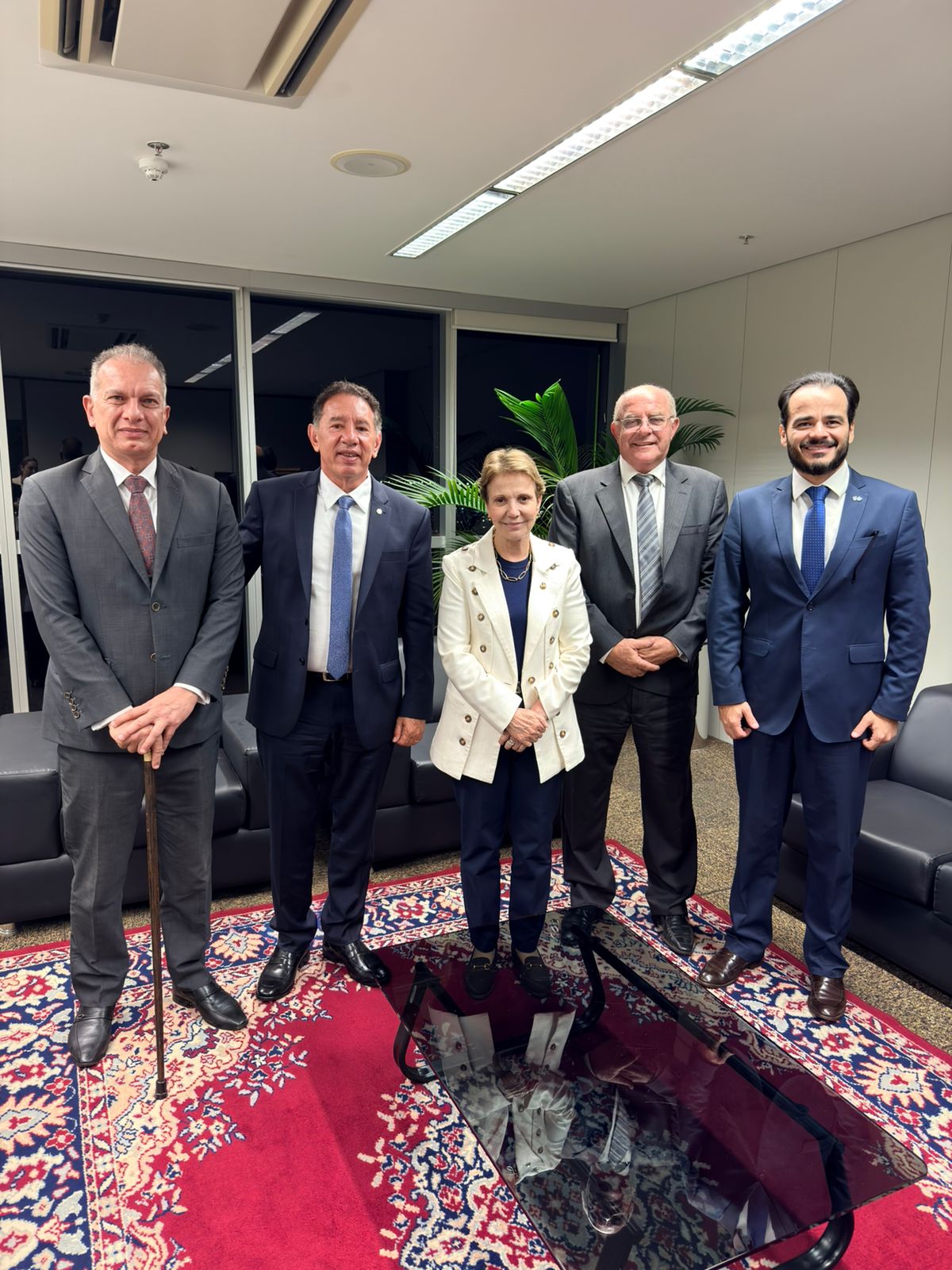 Gerson participa de reunião no TSE sobre plebiscito que decidirá mudança de nome de Rio Verde de Mato Grosso